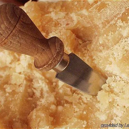 هوليدي إن إكسيرس بارما